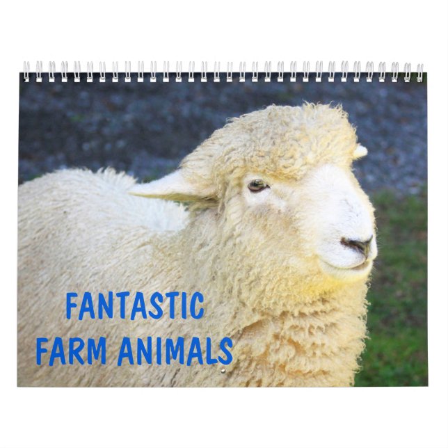 Calendrier Fantastiques animaux de ferme (Protection)