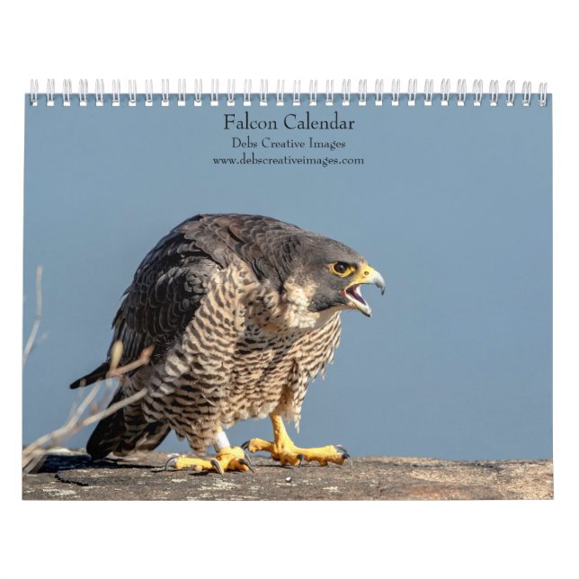 Calendrier Faucon 2026 (Protection)