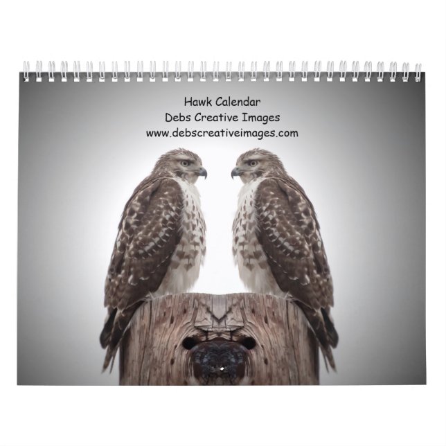 Calendrier Faucons dans la nature 2026 (Protection)