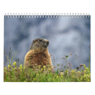 Calendrier Faune