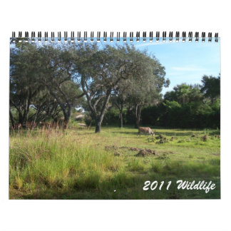 Calendrier Faune 2011
