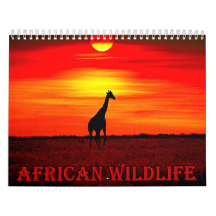 Calendrier faune africaine