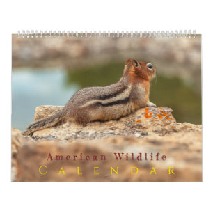 Calendrier Faune Américaine