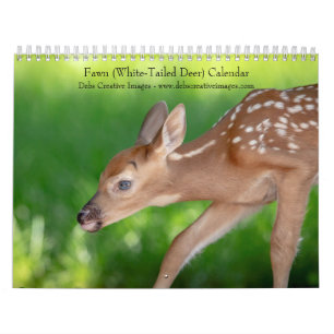 Calendrier Faune (cerf de Virginie) 2026