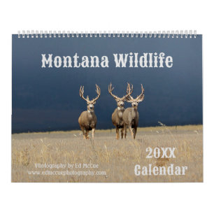 Calendrier Faune du Montana