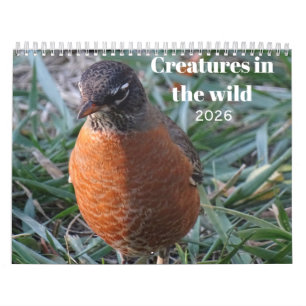 Calendrier Faune et insectes