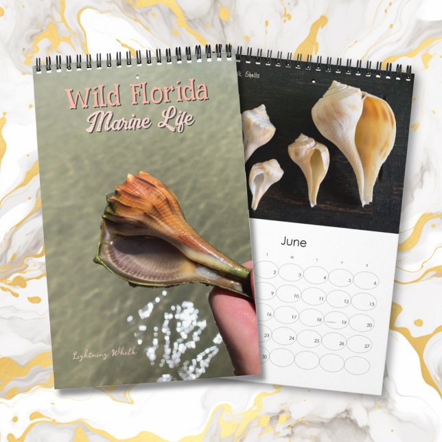 Calendrier Faune marine sauvage de Floride Escargots de mer B (Créateur téléchargé)
