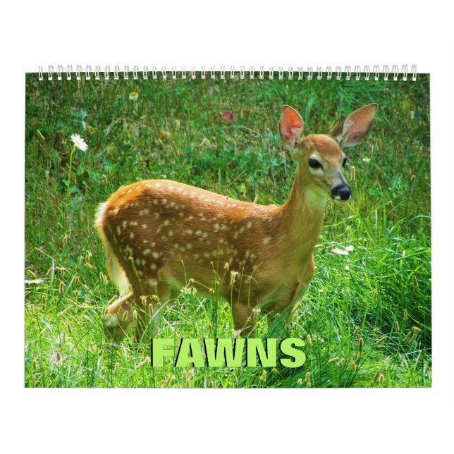 Calendrier Fawns (Protection)