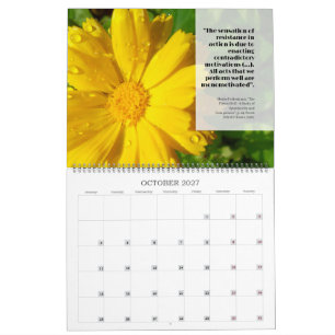 Calendrier Feldy 2027 : une année en fleurs
