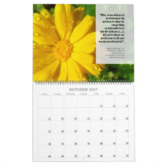 Calendrier Feldy 2027 : une année en fleurs