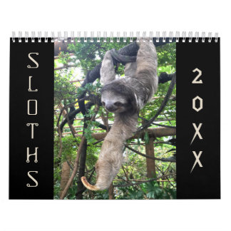 Calendrier Fentes