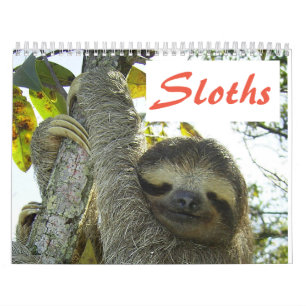Calendrier Fentes - Douze mois de photos de fentes adorables