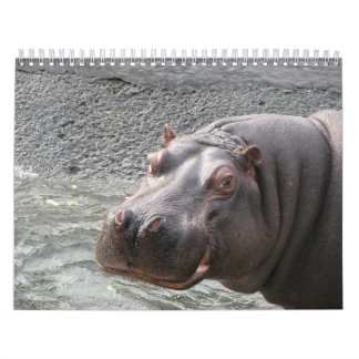 Calendrier Fermez-vous se lève des visages 2014 d'animal
