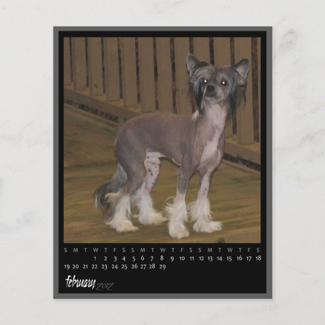 calendrier février 2012 (Devant)