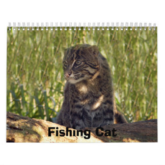 Calendrier FishingCat008, pêchant le chat