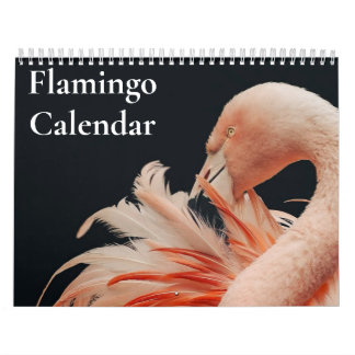 Calendrier Flamant 2027