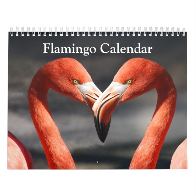 Calendrier Flamant rose 2025 (Protection)