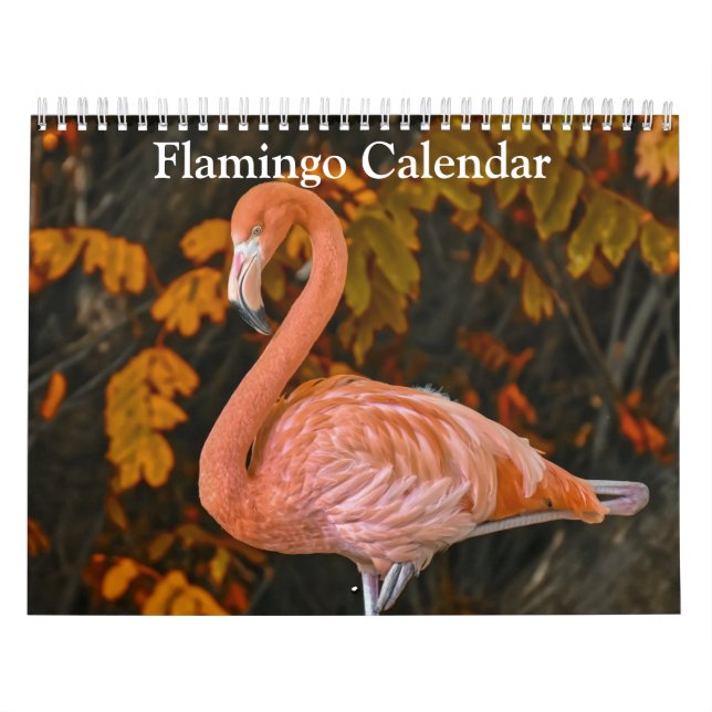 Calendrier Flamant rose 2025 (Protection)