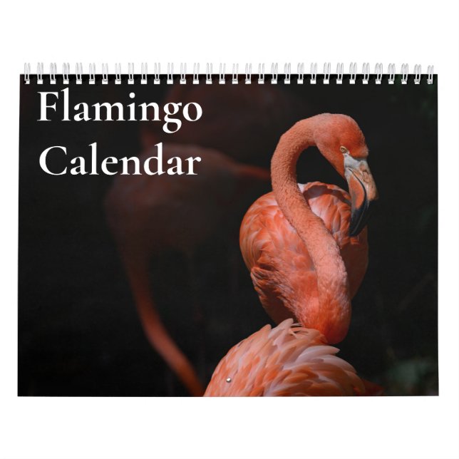 Calendrier Flamant rose 2025 (Protection)