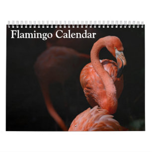 Calendrier Flamant rose 2025