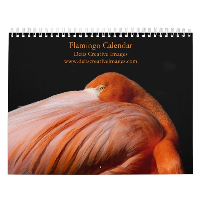 Calendrier Flamant rose 2026 (Protection)