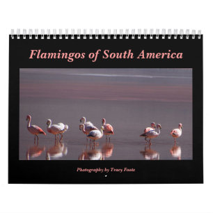 Calendrier Flamant rose sauvage Oiseaux d'Amérique du Sud