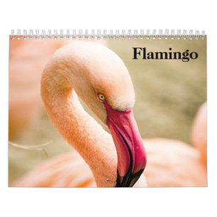 Calendrier Flamants 2027