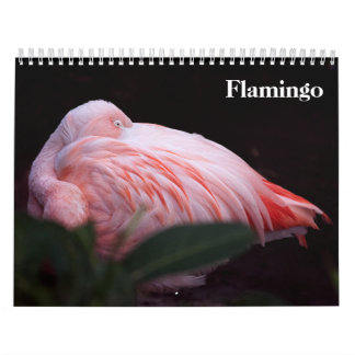 Calendrier Flamants 2027