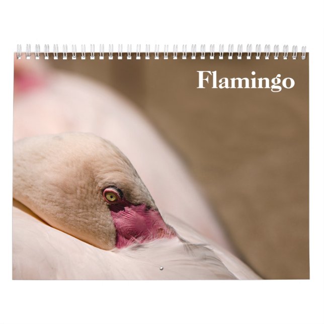 Calendrier Flamants 2027 (Protection)