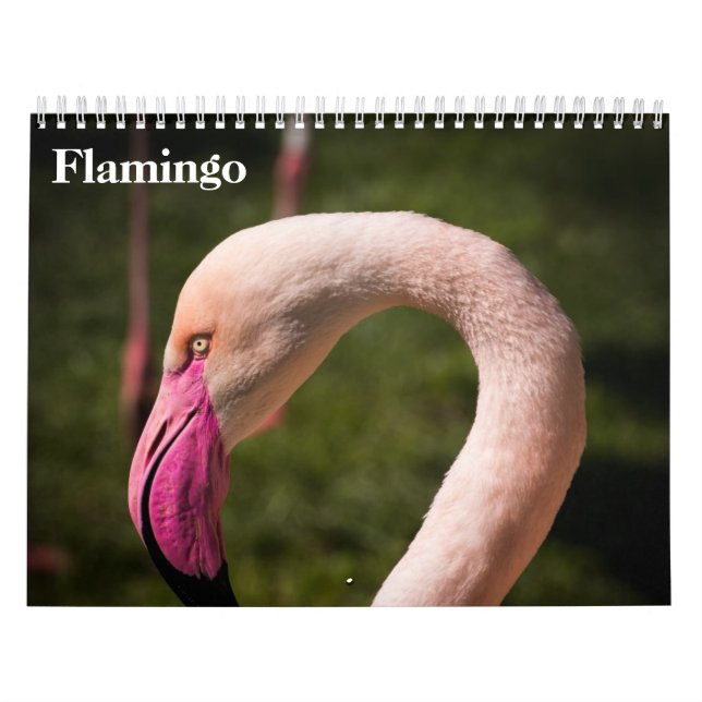 Calendrier Flamants 2027 (Protection)
