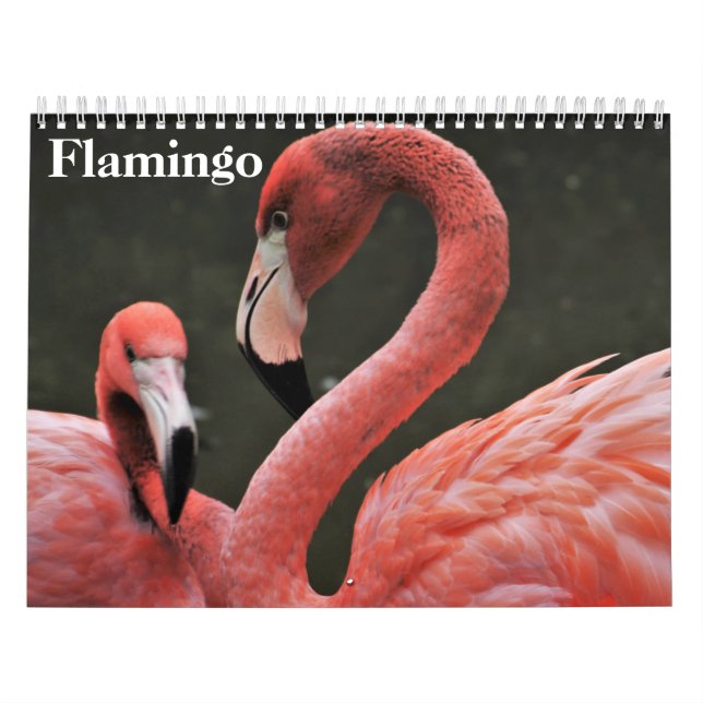 Calendrier Flamants roses 2025 (Protection)