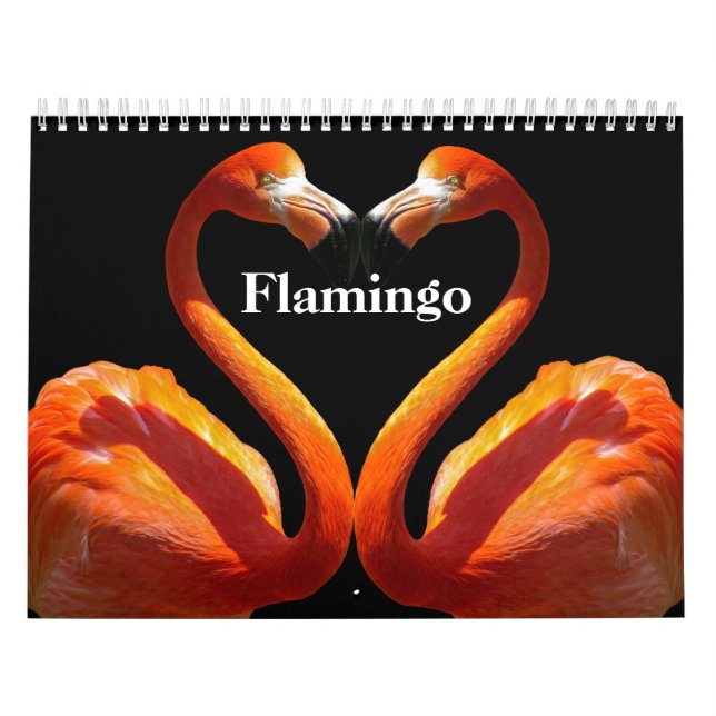 Calendrier Flamants roses 2025 (Protection)