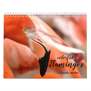 Calendrier Flamants roses colorés 2026
