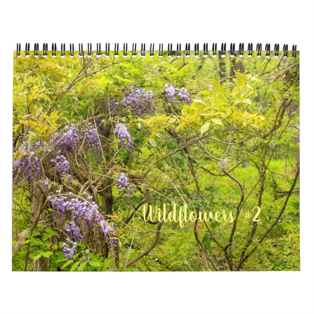 Calendrier fleur sauvage #2 (Protection)