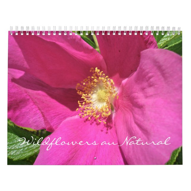 Calendrier - Fleur sauvage au naturel (Protection)