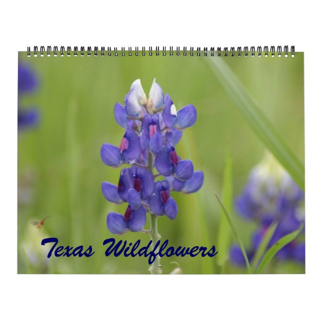 Calendrier fleur sauvage du Texas 2023 (Protection)