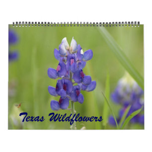 Calendrier fleur sauvage du Texas 2023