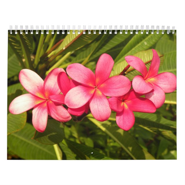 Calendrier Fleurs (Protection)