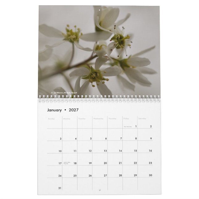 Calendrier Fleurs 2015 (Jan 2027)