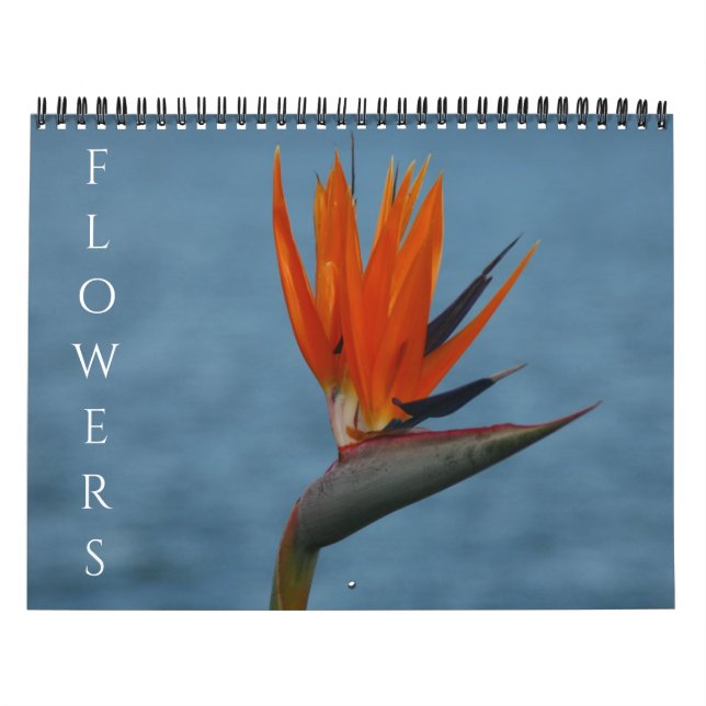 Calendrier fleurs 2027 (Protection)