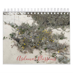 Calendrier Fleurs asiatiques