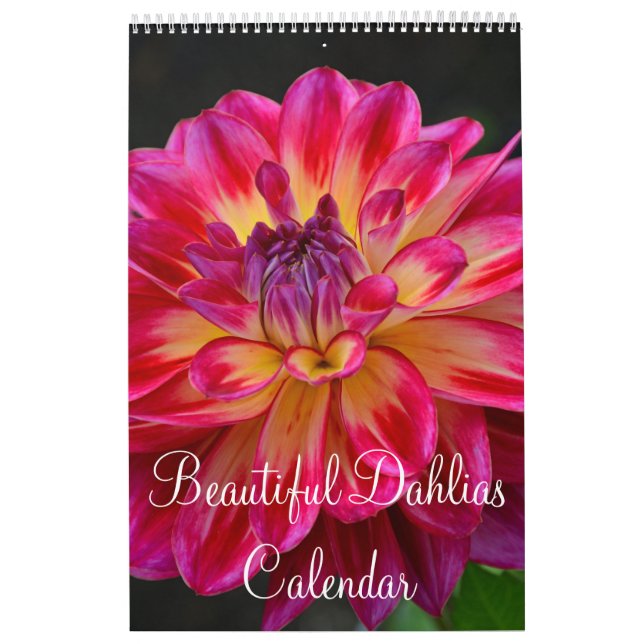Calendrier Fleurs colorées de dahlia (Protection)
