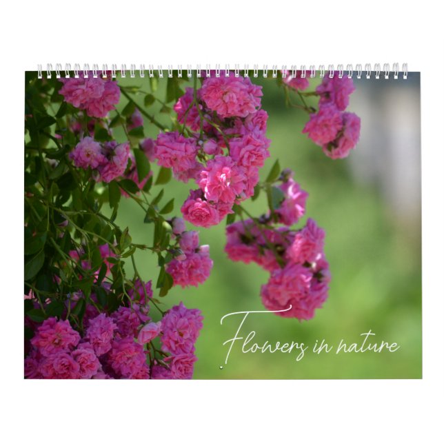Calendrier Fleurs dans la nature (Protection)