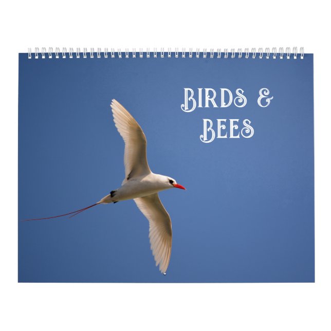 Calendrier Fleurs dans la nature (Protection)