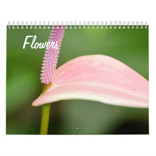 Calendrier Fleurs de beauté naturelles