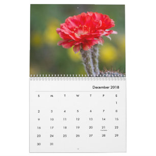 Calendrier Fleurs de cactus