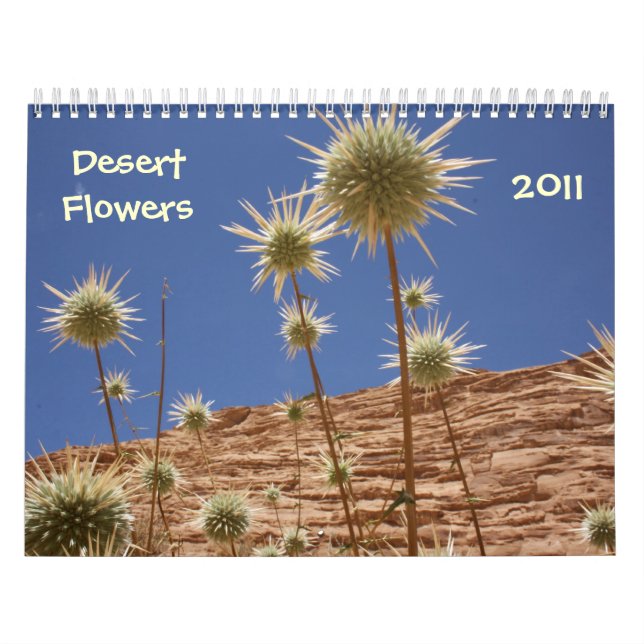 Calendrier Fleurs de désert de Sinai (Protection)