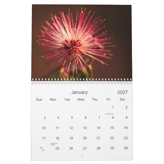 Calendrier Fleurs de l'Arizona (Jan 2027)