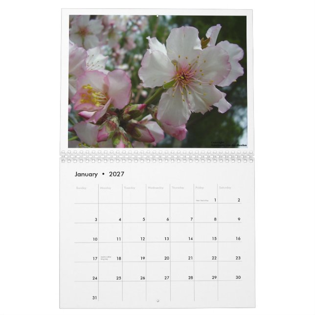 Calendrier Fleurs de l'Israël (Jan 2027)