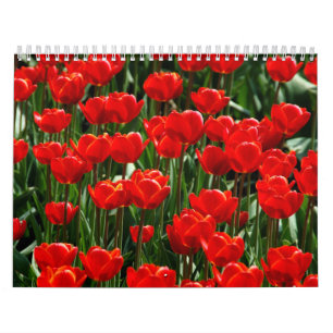 Calendrier Fleurs de tulipe Beau Jardin 2025